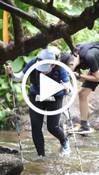 BIB:  <button type="button" onclick="openModal(27825581)" class="btn btn-primary btn-sm float-right" data-toggle="modal" data-target=".modal-high-quality">
                <i class="fa fa-download"></i> Download
                </button>